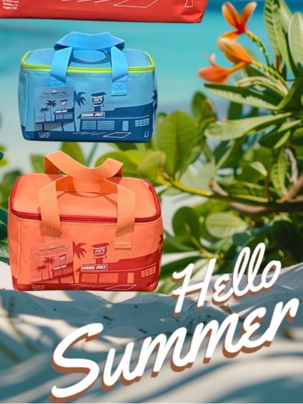🚨TRADER JOE’S MINI BAGS